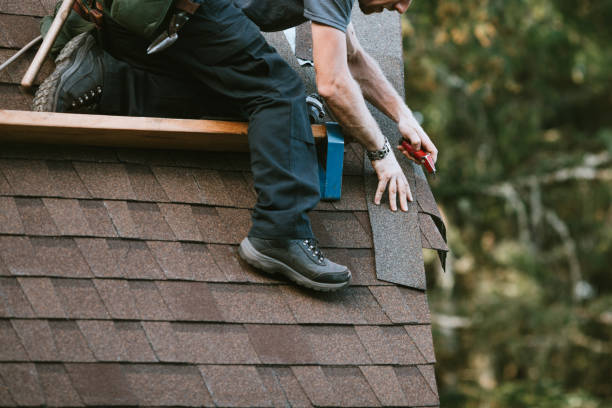 Best Roof Gutter Cleaning  in Central City, KY